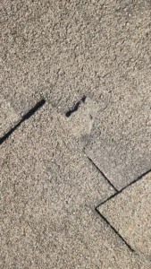 close view of a damaged asphalt shingle held for inspection