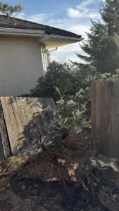a fallen tree resting on a storm damaged roof